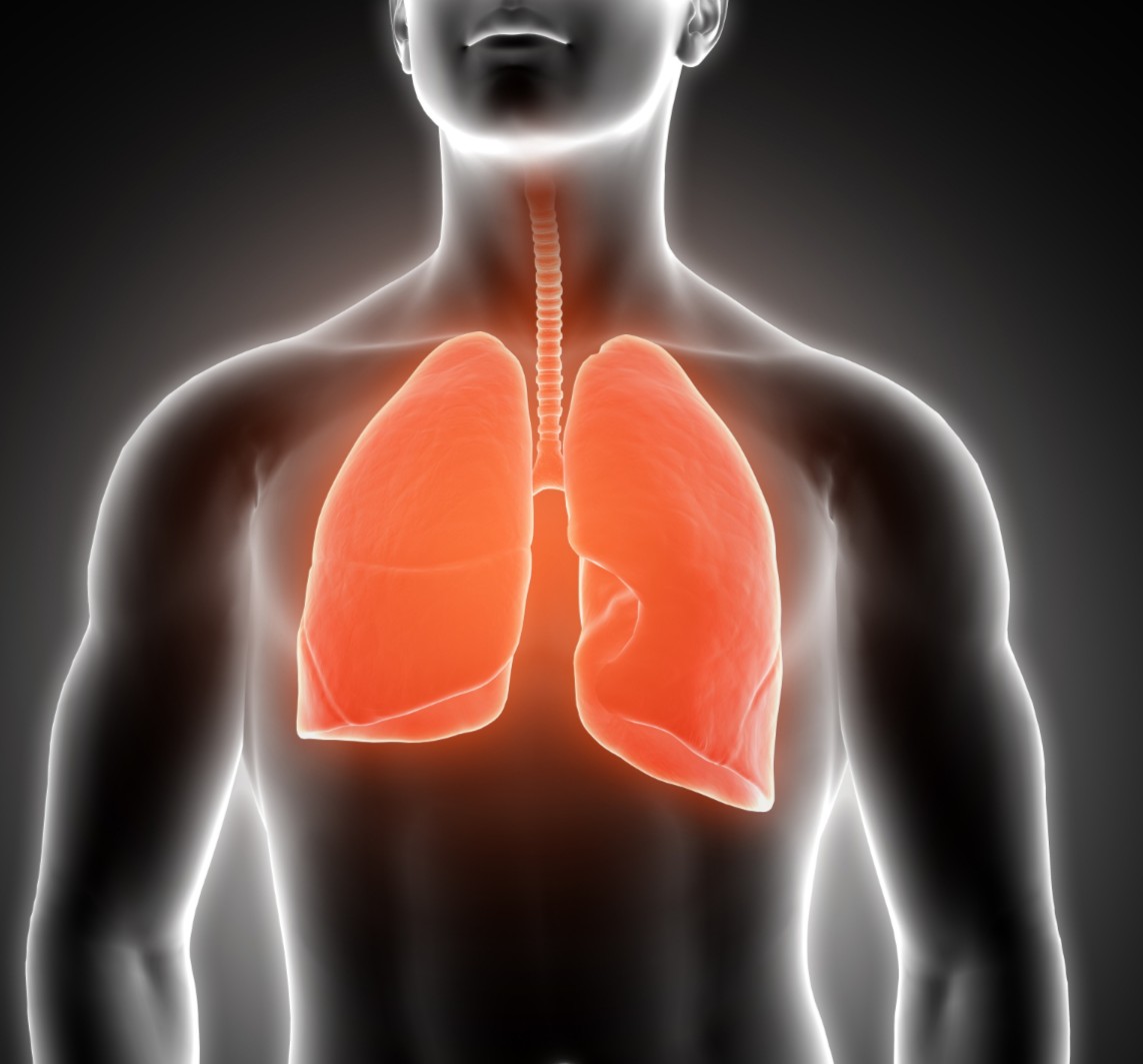 Respiratory Medicine
